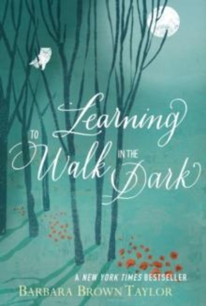 Picture of Learning to Walk in the Dark