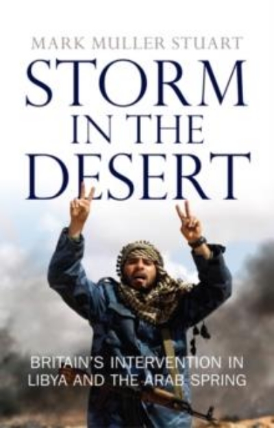 Picture of Storm in the Desert : Britain's intervention in Libya and the Arab Spring