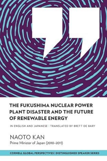 Picture of The Fukushima Nuclear Power Plant Disaster and the Future of Renewable Energy