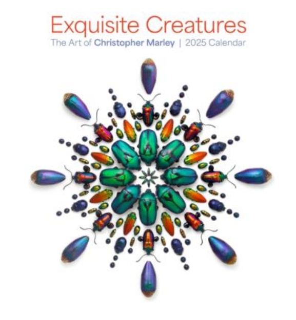 Picture of Exquisite Creatures  2025 Wall Calendar, The Art of Christopher Marley