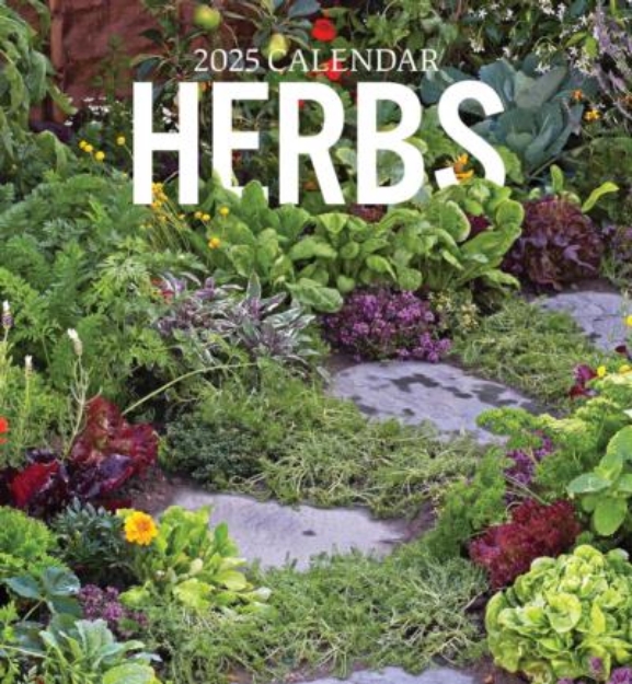 Picture of Herbs 2025 Wall Calendar