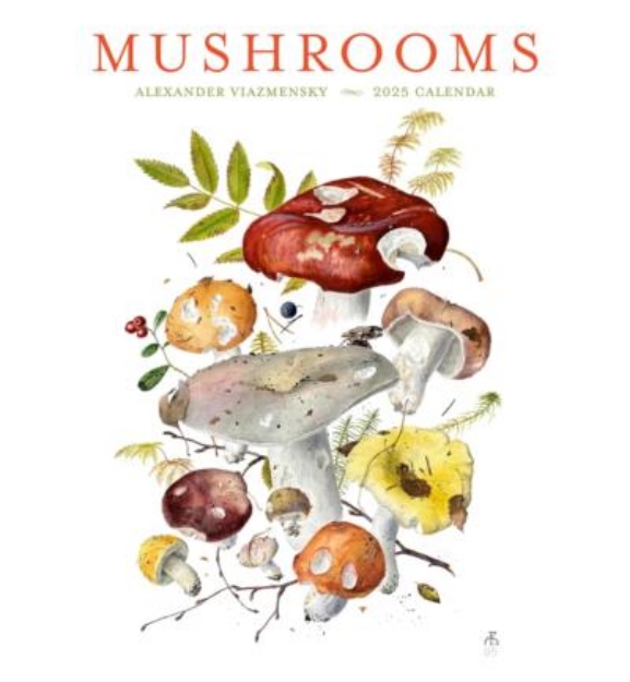 Picture of Mushrooms 2025 Wall Calendar Alexander Viazmensky