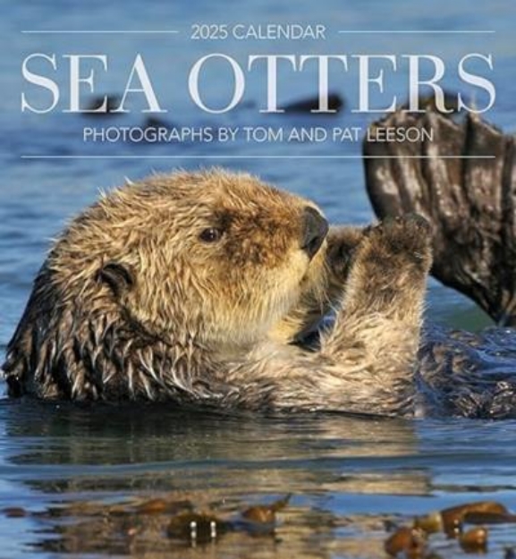 Picture of Sea Otters: Photographs by Tom and Pat Leeson 2025 Wall Calendar