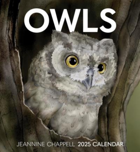 Picture of Owls: Jeannine Chappell 2025 Wall Calendar