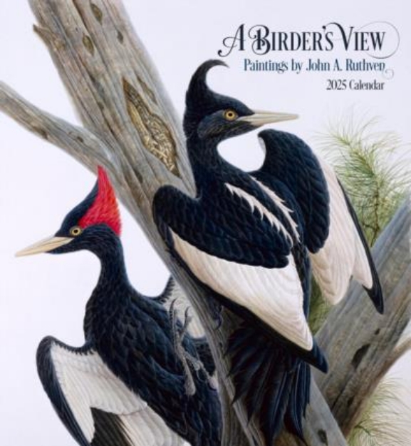 Picture of A Birder's View: Paintings by John A. Ruthven 2025 Wall Calendar