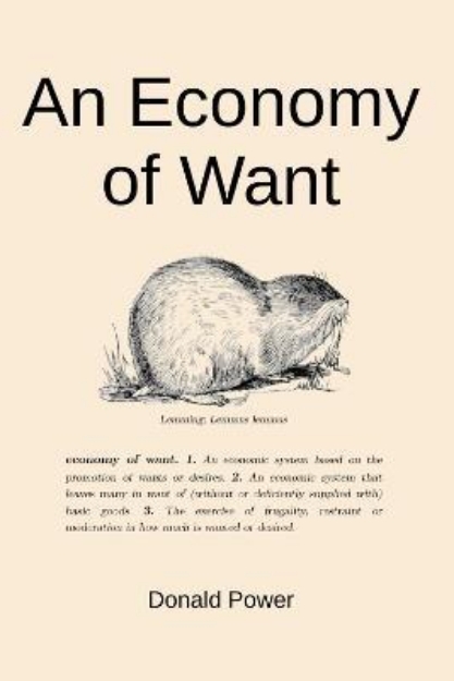 Picture of An Economy of Want