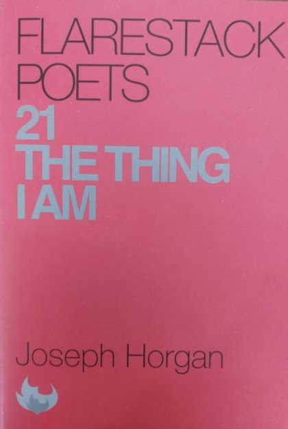 Picture of Flarestack Poets 21 The Thing I am