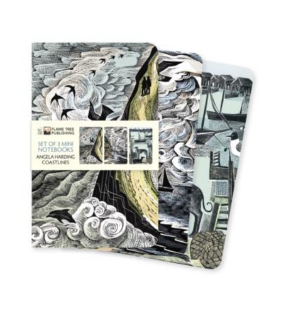 Picture of Angela Harding: Coastlines Set of 3 Mini Notebooks