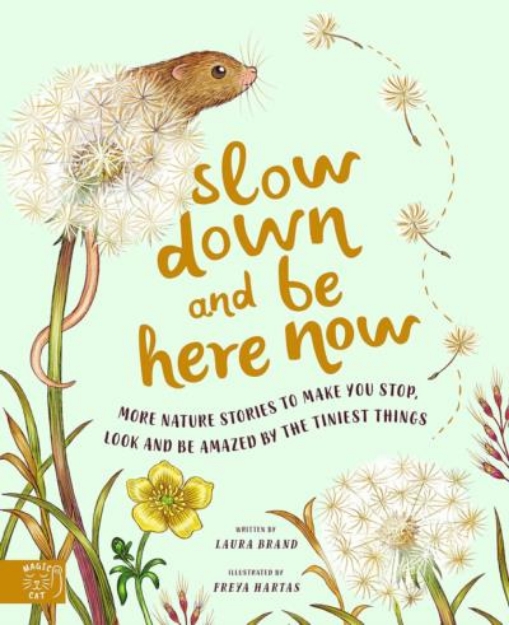 Picture of Slow Down and Be Here Now