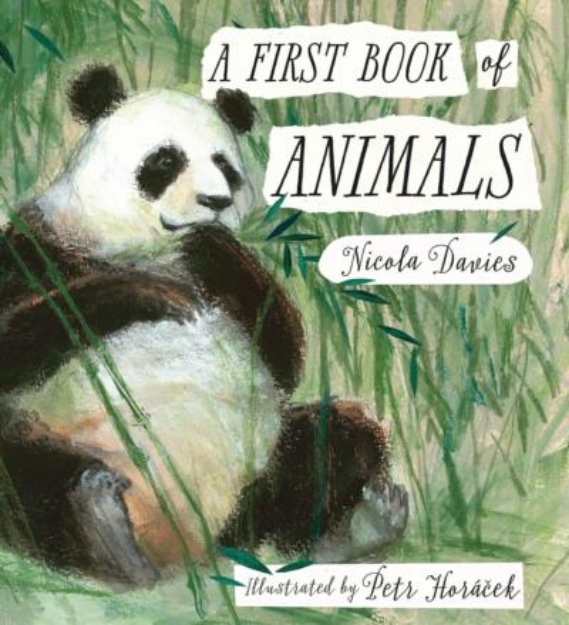 Picture of A Frist Book of the Animals