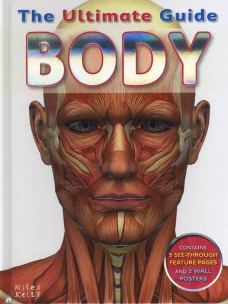 Picture of Ultimate Guide Body